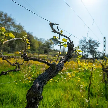 San Sebastiano Farm stay