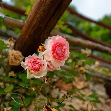 San Sebastiano Farm stay *