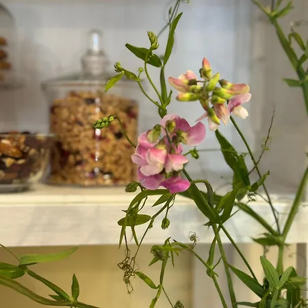 San Sebastiano Farm stay