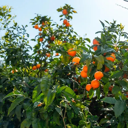 Farm stay San Sebastiano *