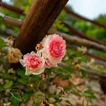 San Sebastiano Farm stay *