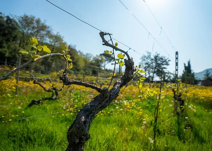 San Sebastiano Farm stay