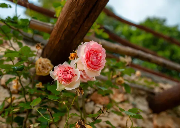 San Sebastiano Farm stay *