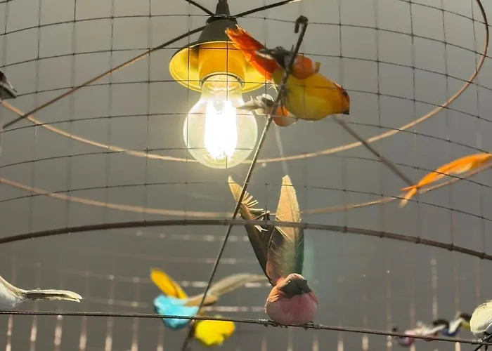 San Sebastiano Farm stay Finale Ligure